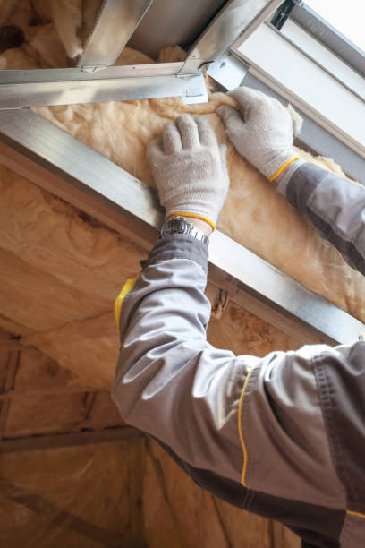 Best Insulation Inspection Services  in Breckenridge, TX