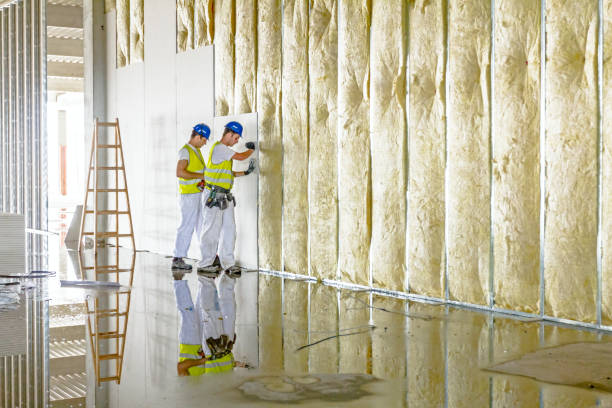 Best Cellulose Insulation  in Breckenridge, TX